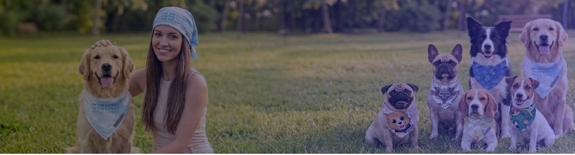 Dog bandana wholesale supplier